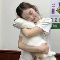 微信视频号被骂怎么举报微信视频号被骂怎么办？举报指南来了！